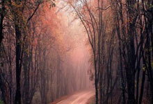 [欧冠]1／8决赛首回合：马竞0-1切尔西 比赛集锦.