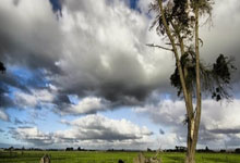 PG国际：WTA ｜ 郑钦文首轮对手出炉：前世界TOP3，交手纪录2胜1负.