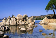 巴西足协：内马尔退出本期国家队 补招恩德里克等人.